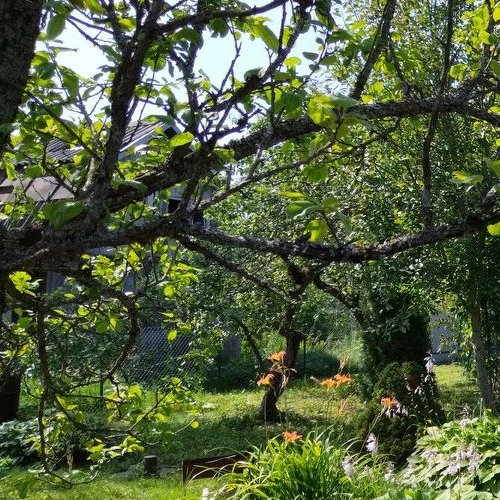 Коттедж/дом Михайловский садоводческий массив, Фотон ПО Завода Вибратор СНТ, улица Дружбы