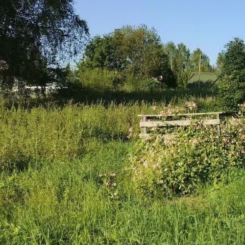 Коттедж/дом д. Березняк, улица Ветеранов, 40