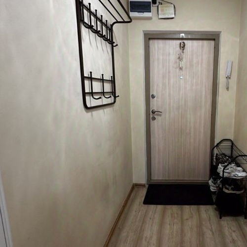 Студия д. Низино, улица Верхняя, 1к1