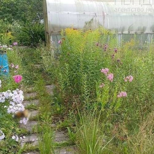 Коттедж/дом Восход садоводческий массив, Лесное СНТ, улица Мичуринская, 4