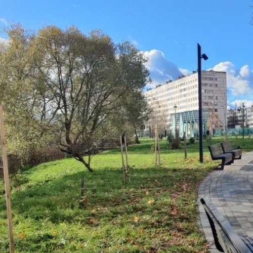 Комната Коммунар г., улица Ижорская, 26