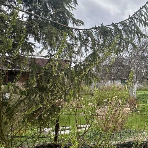 Коттедж/дом Кобрино садоводческий массив, Мелиоратор СНТ,  д. 69