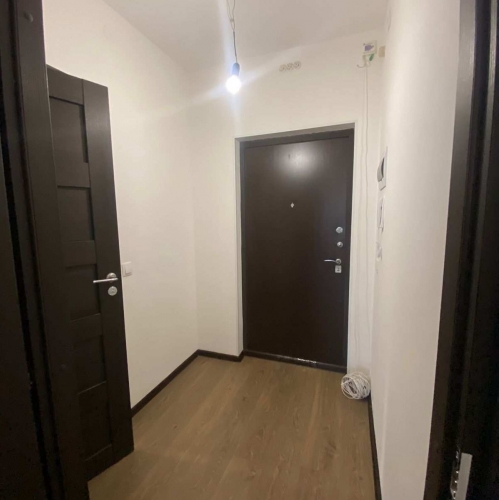 1-комн квартира Ветеранов пр-кт,  д. 14,  к. 2