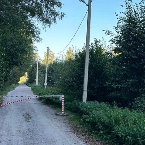 Земельный участок Сосновый СНТ,  д. 186