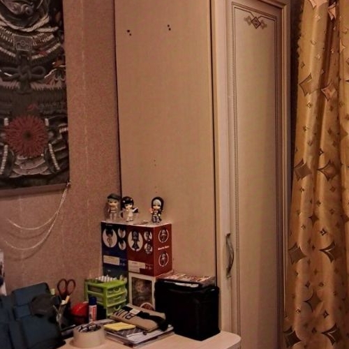 3-комн квартира д. Разбегаево, 55