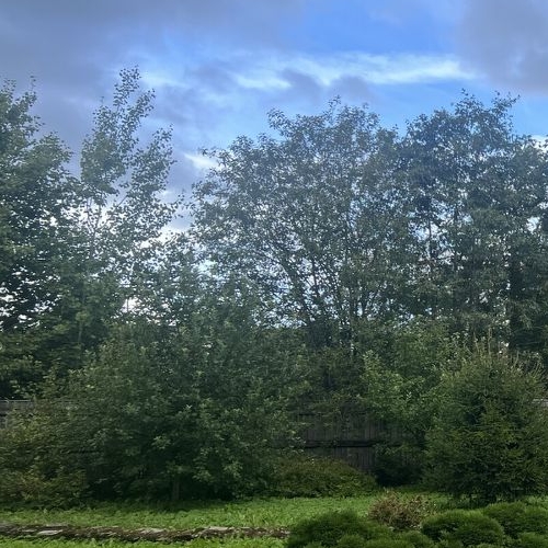 Коттедж/дом Отрадное, Безымянная улица, 32