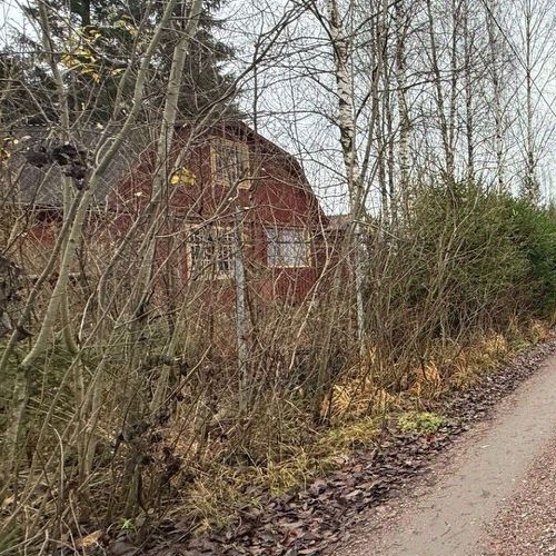 Земельный участок Смольнинское СНТ, 107