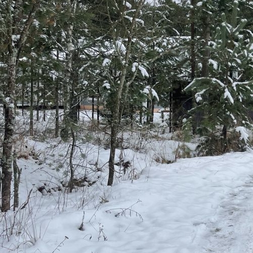 Земельный участок Будогощь пгт, улица Сиреневая