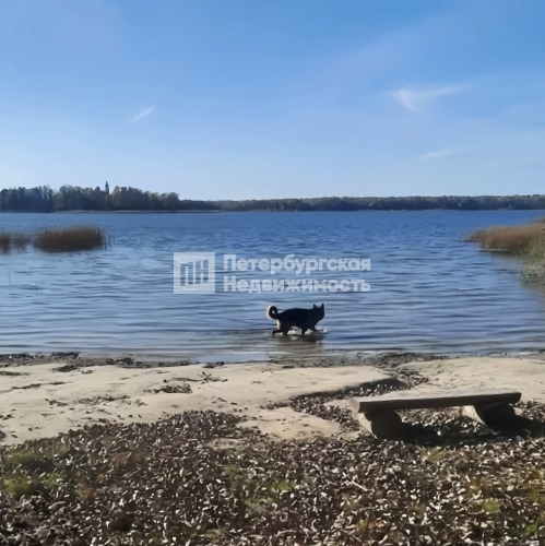 Земельный участок деревня Наволок, деревня Наволок,