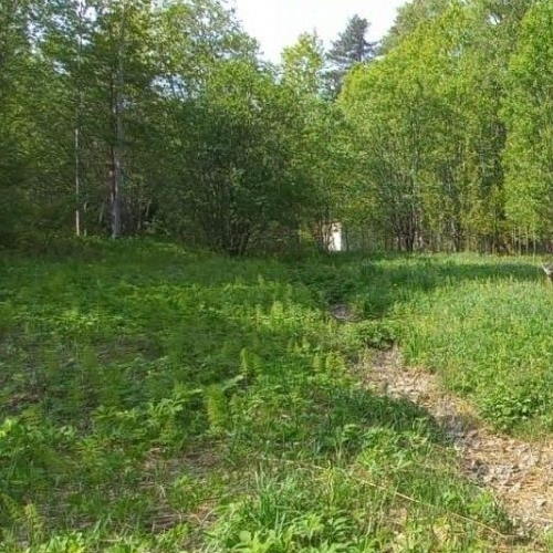 Земельный участок Боровое массив, Боровое-2 СНТ