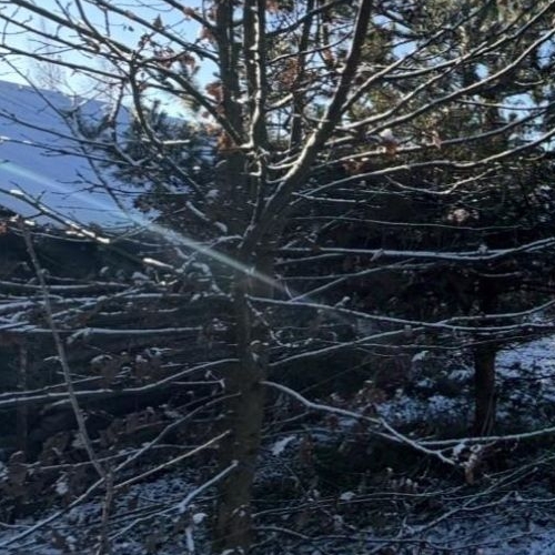 Земельный участок д. Мендсары, улица Лесная