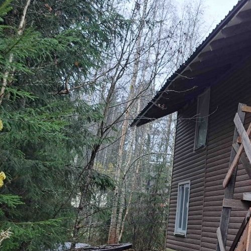 Коттедж/дом пос. При железнодорожной станции Каннельярви, Синули СНТ,  д. 92