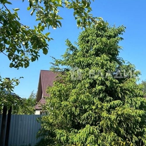 Земельный участок Пески СНТ,  д. 66А