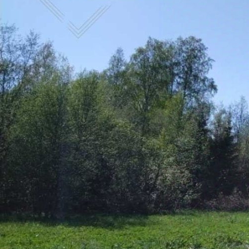 Земельный участок Ойнелово массив, улица Лесная