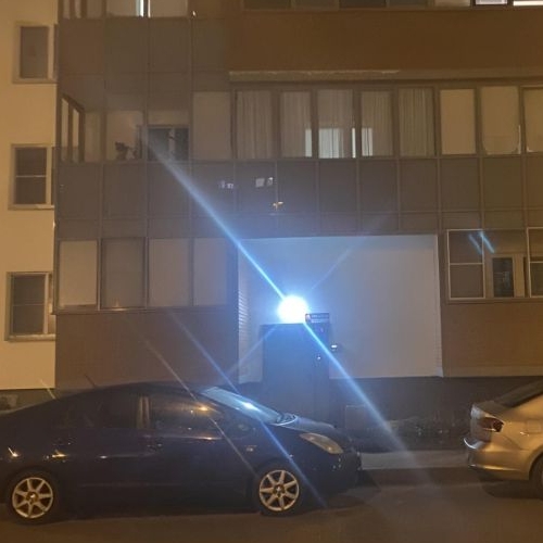 Студия Петергоф, улица Парковая, 14к2