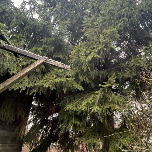 Земельный участок Усть-Славянка тер., улица Заводская, 31