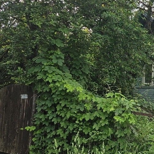 Коттедж/дом пос. Пчевжа, улица Клубная