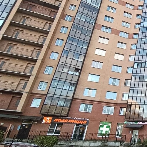 1-комн квартира Всеволожск, Колтушское шоссе, 44к1