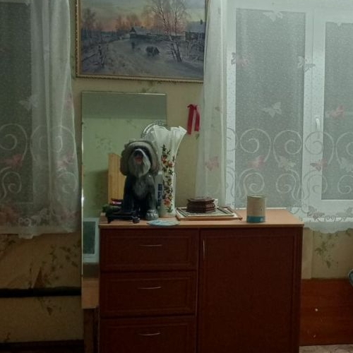 Коттедж/дом с. Паша, улица Пионерская, 1А