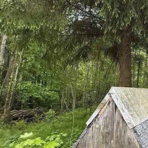 Коттедж/дом Пупышево садоводческий массив, Искра СНТ