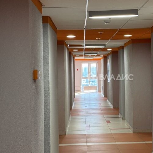 Студия пос. Парголово, проезд Толубеевский, 8к2