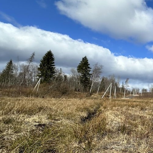 Земельный участок У Лукоморья СНТ