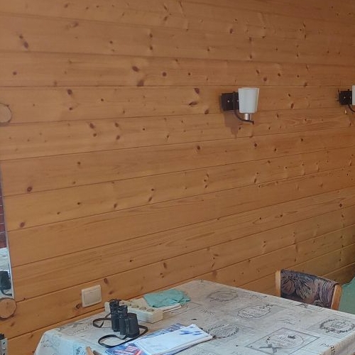 Коттедж/дом пос. Дружноселье, проезд Черничный