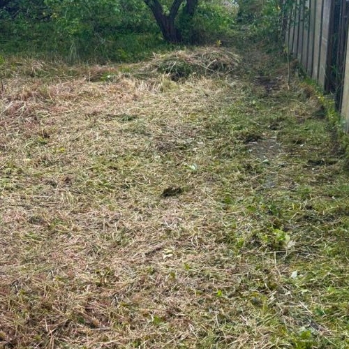 Коттедж/дом Кингисепп, Сережино садоводческий массив, Химик СНТ, улица Вишневая