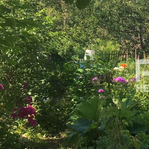 Коттедж/дом Гатчина, Станционная улица, 9А