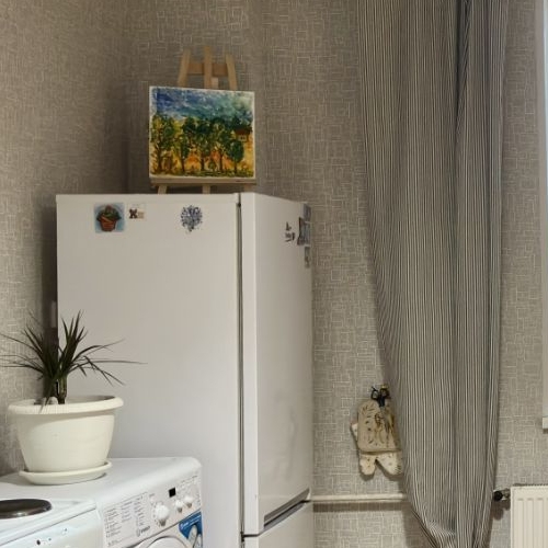 1-комн квартира Мурино, проспект Авиаторов Балтики, 7