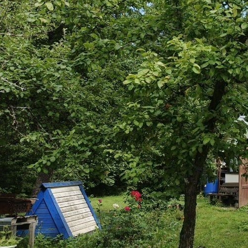 Коттедж/дом Восточный СНТ, улица Речная