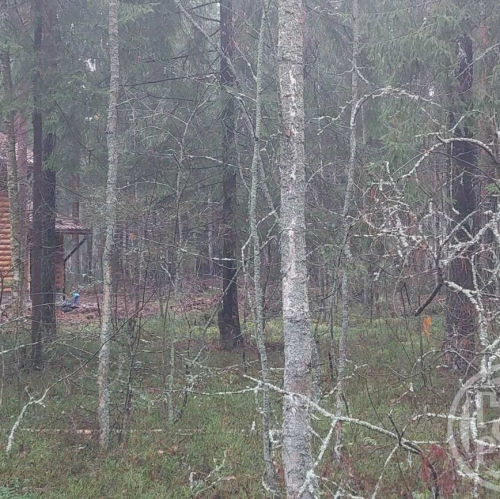 Земельный участок Вырица пос., Куйбышева ул.