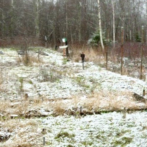 Земельный участок Алмаз СНТ, 250