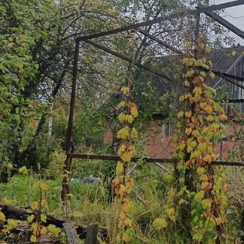 Коттедж/дом Посадников остров садоводческий массив, Флора СНТ, 17-я линия