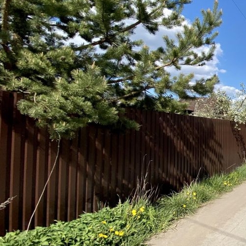 Земельный участок Сестрорецк, Разлив СНТ, дорожка 20-я, 23/5