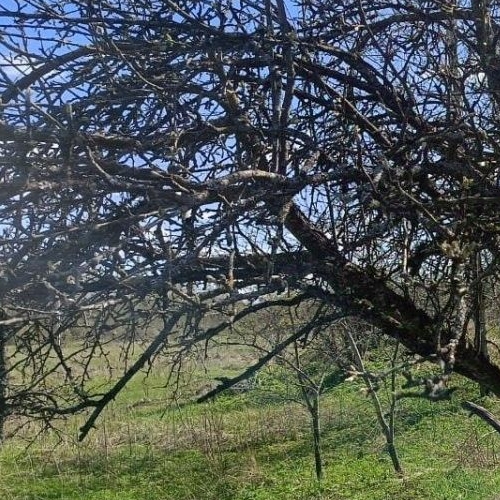 Коттедж/дом Р-23, 165-й км