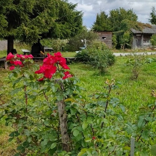 Коттедж/дом д. Мелекса, 16А