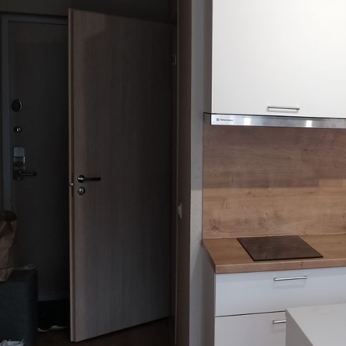 Студия пос. Парголово, проезд Толубеевский, 8к2