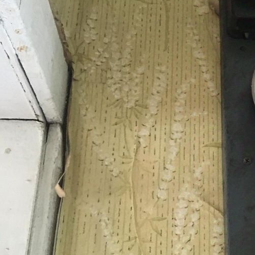 Коттедж/дом Новая Ропша садоводческий массив, улица 13-я Западная