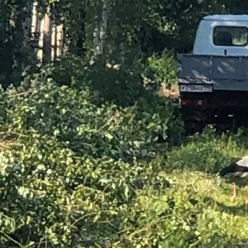 Коттедж/дом Южное СНТ, улица 1-я Садовая,  д. 161