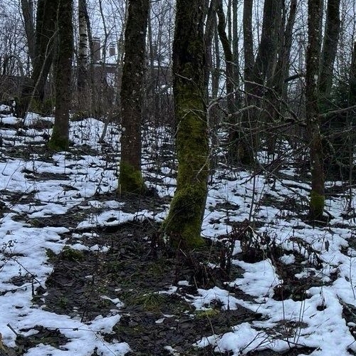 Земельный участок Токсово ОзероПарк кп, пос. Новое Токсово