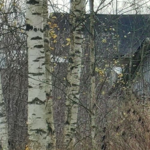 Земельный участок д. Горки,  д. 6