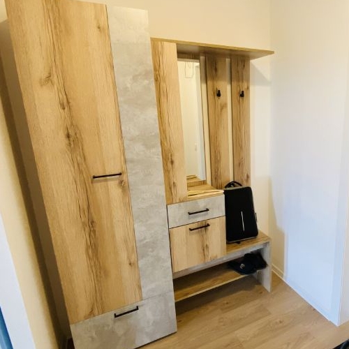 Студия д. Новое Девяткино, улица Главная, 10