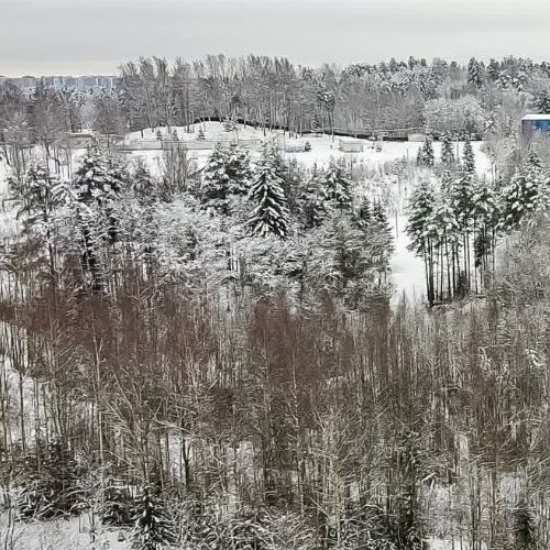 Земельный участок д. Юкки, улица Спортивная