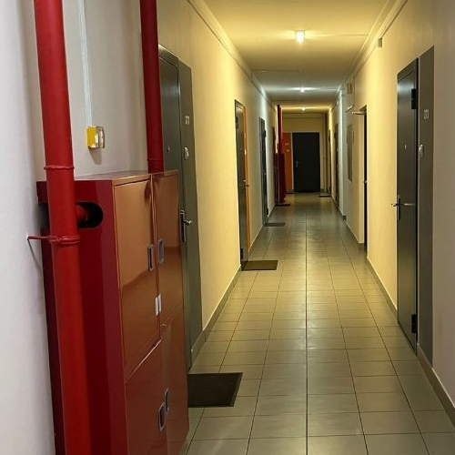 Студия Новоселье городской поселок, улица Стрельнинская, 6