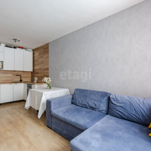 1-комн квартира Ветеранов пр-кт,  д. 171 к4 с1