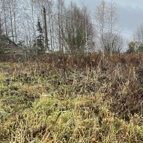 Земельный участок Пушкин, СНТ Дони тер., улица 1-я Линия