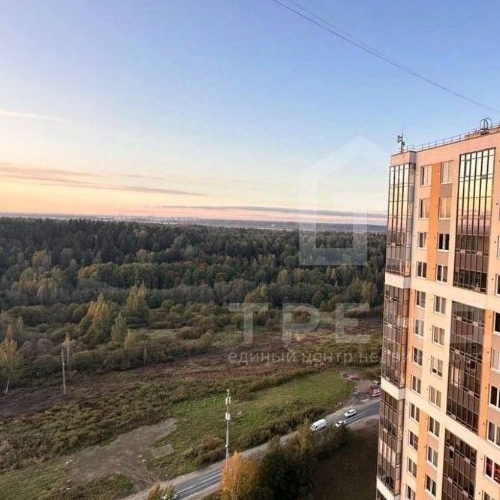 Студия пос. Парголово, Заречная улица, 13к4