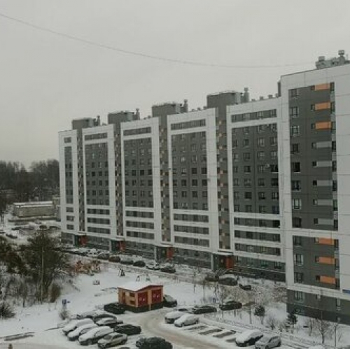 2-комн квартира Колтуши, ул Генерала Чоглокова,  д. 1