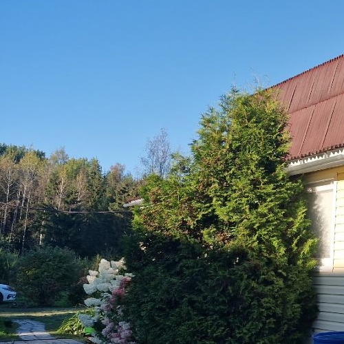 Коттедж/дом Посадников остров садоводческий массив, Изобилие СНТ, улица 7-я,  д. 416